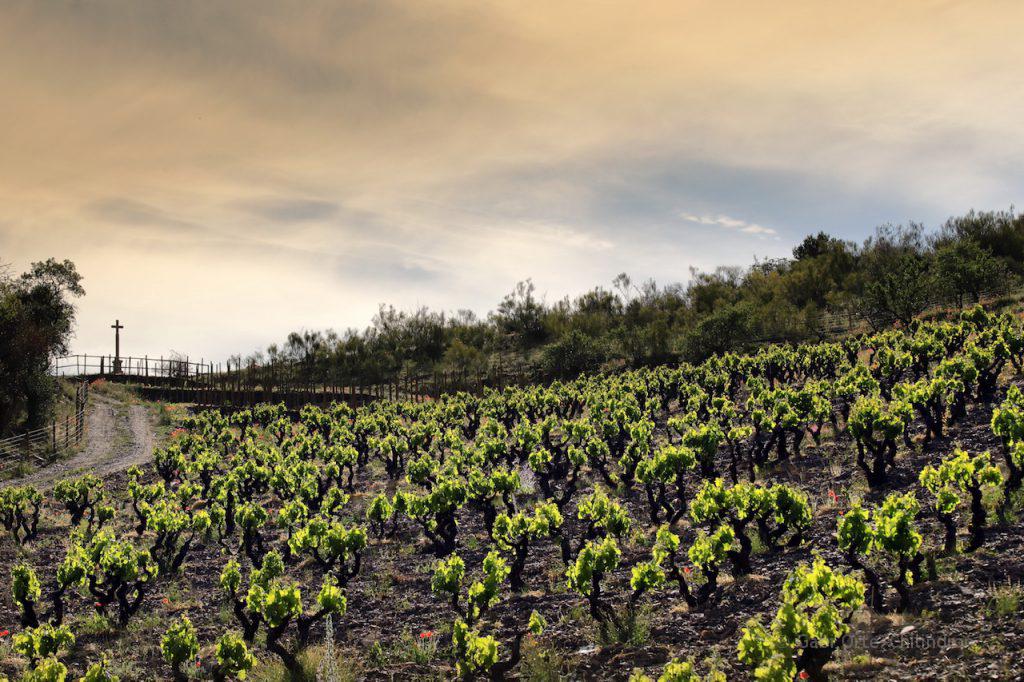 Jardin Iguales Panorámica GOC