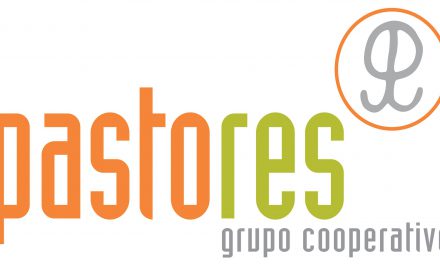 Pastores Grupo Cooperativo mantuvo en 2019 su volumen de comercialización de carne de cordero