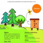 Curso de apicultura para desempleados en Calcena