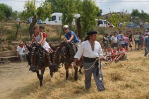 Fiesta de la Siega y la Trilla