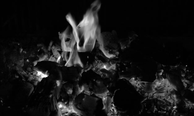 MEMORIA DEL FUEGO. Mujeres, ¡en formación!