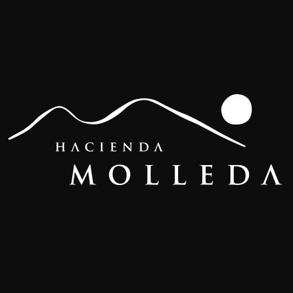 Logo Hacienda Molleda