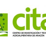 cita logo