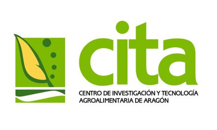 El CITA investiga sobre la mejora de la productividad de la borraja