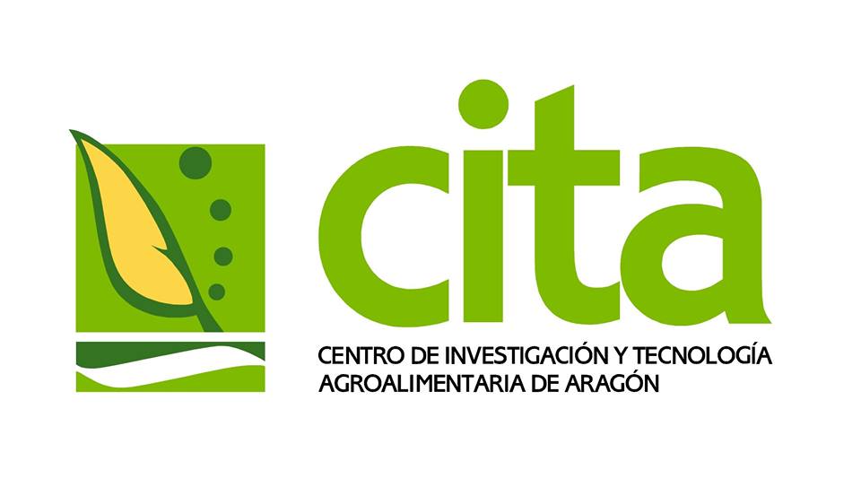 cita logo