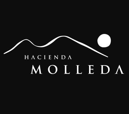 Finca La Matea, de Hacienda Molleda, cambia de imagen