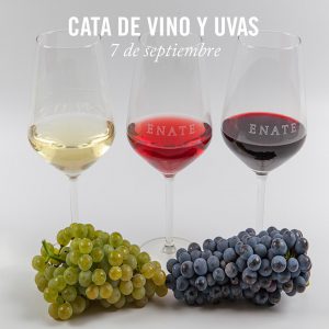 Cata de vino y uvas en ENATE