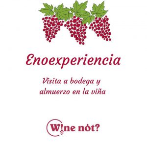 Enoexperiencia Wine Not