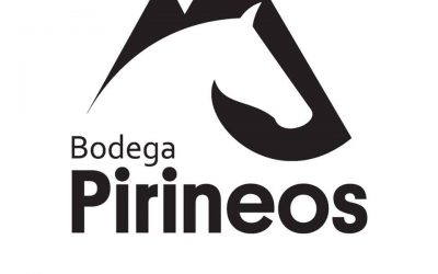 Bodega Pirineos incorpora un punto de recarga público gratuito para coches eléctricos