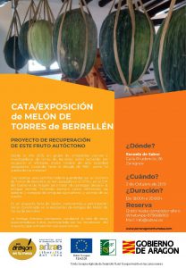CARTEL CATA PAETM_MELÓN DE TORRES DE BERRELLÉN