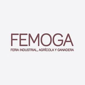 Femoga logo