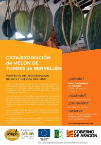 gallur MELÓN DE TORRES DE BERRELLÉN (1)