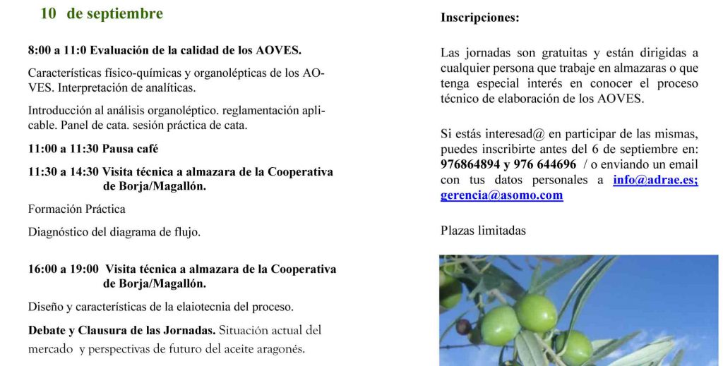 Jornadas de Mestro de Almazara