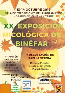 Exposición micológica