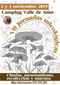 Anso jornadas micológocas