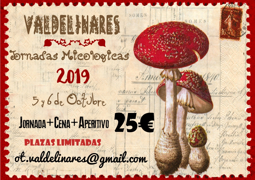 Jornadas Micológicas de Valdelinares