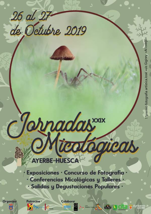 Cartet Jornadas Micológicas 2019
