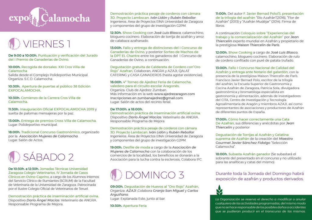expo calamocha cartel 19 b