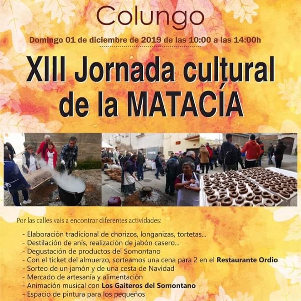 Jornada de la Matacía en Colungo