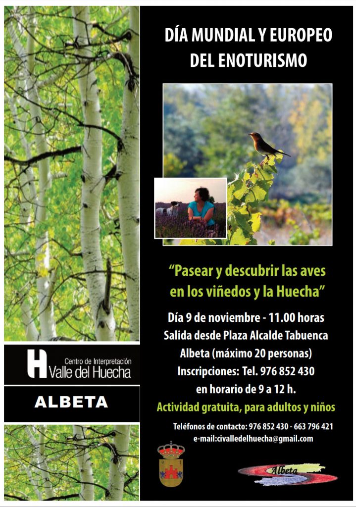 Albeta viñedps 2019