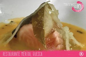 CELIACOS SALMON WITH APPLE tapas huesca