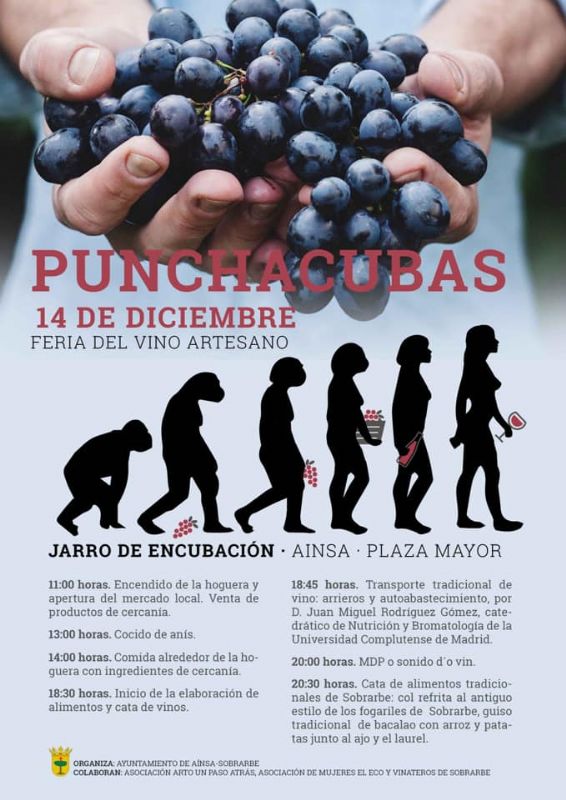 Feria del vino artesano Punchacubas