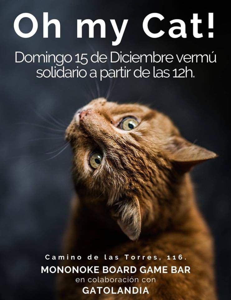 Vermú solidario 