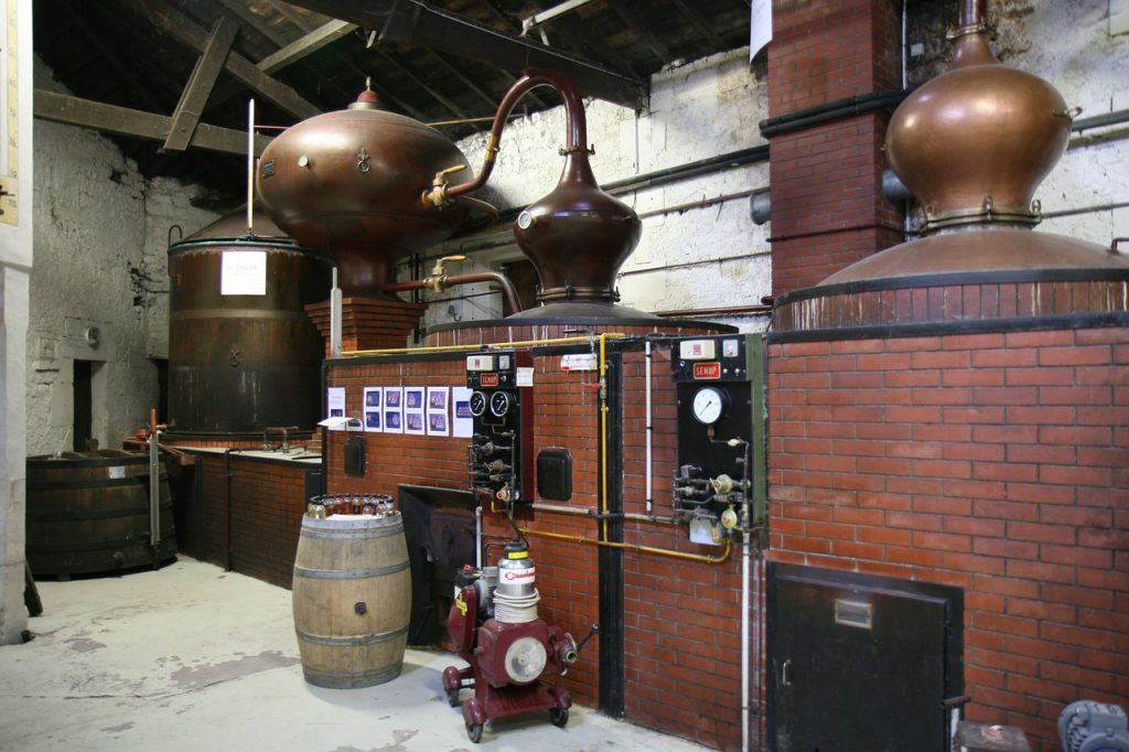 Cognac producción