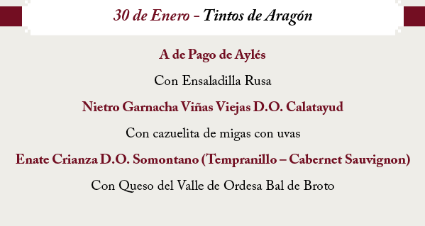 Cata de vinos tintos de Aragón 