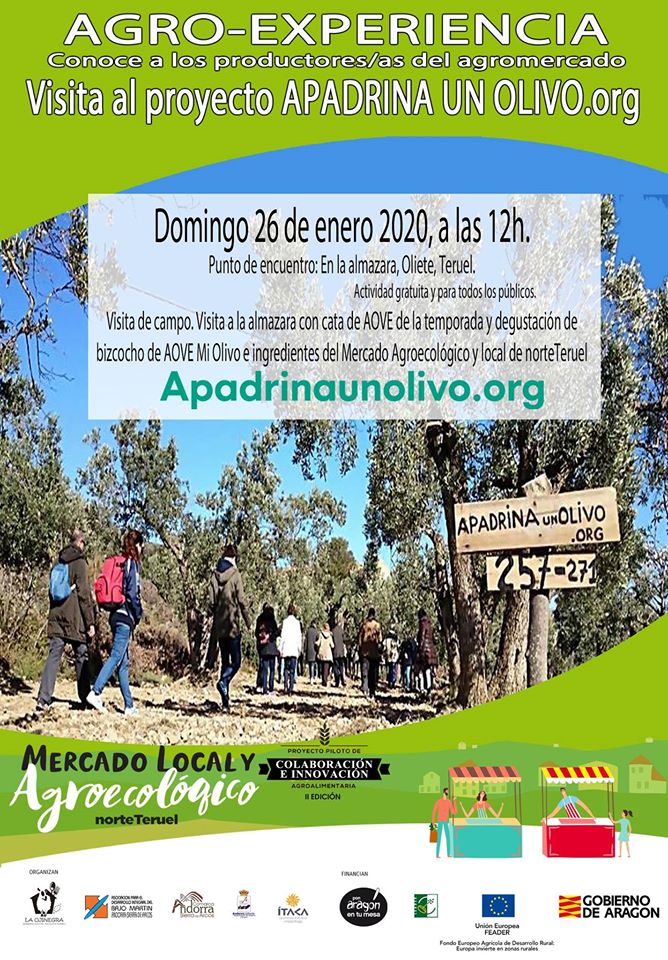 Agro Experiencia Apadrina un Olivo