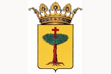 Aínsa escudo