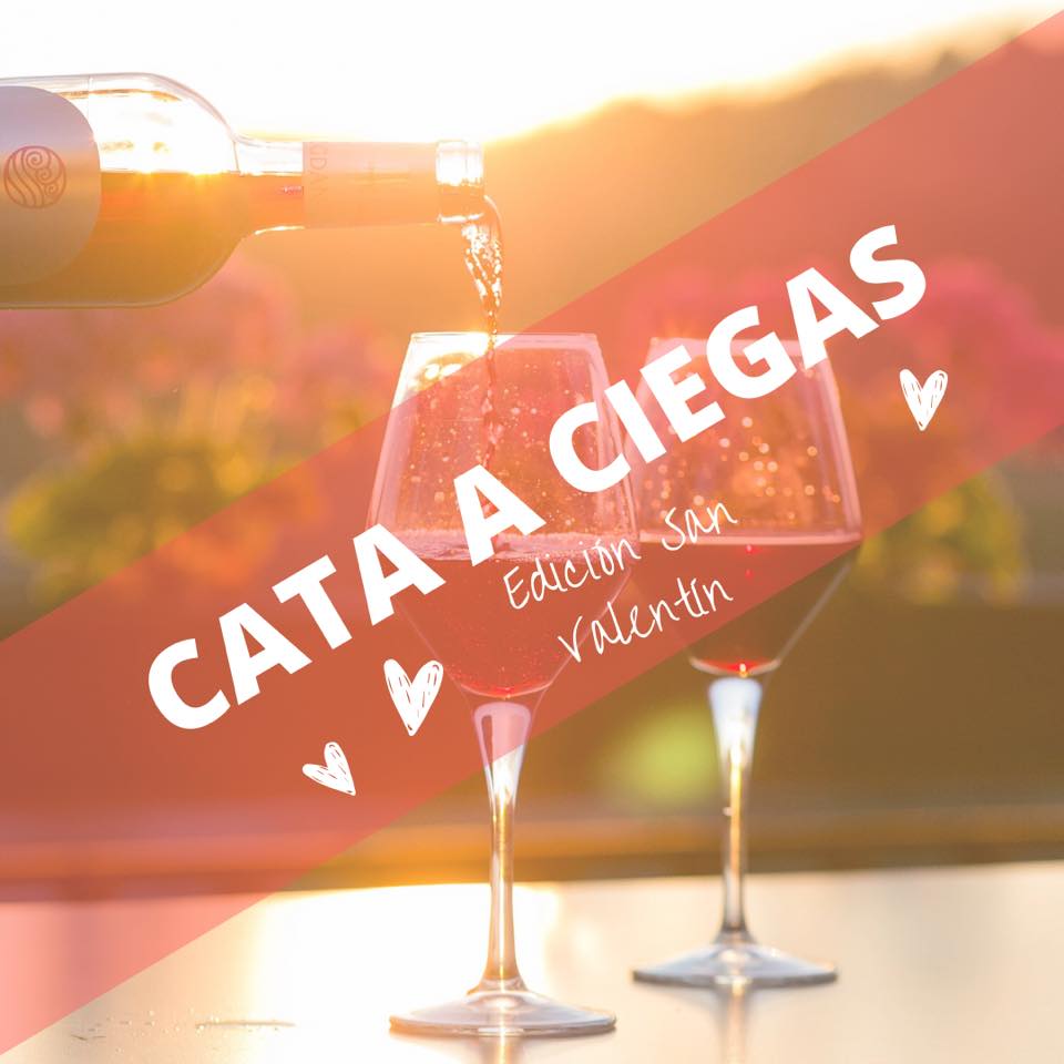 Cata a ciegas de vino Wine Not