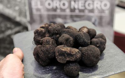«Descubre la trufa» da a conocer los finalistas de su quinta edición