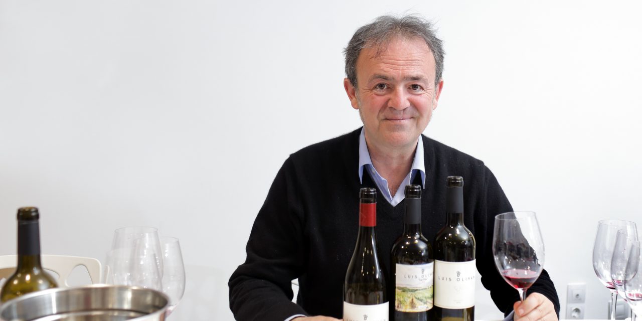 Luis Oliván presenta sus vinos