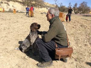 Daroca Senda, primera clasificada Concurso de Perros Truferos Comarca Daroca