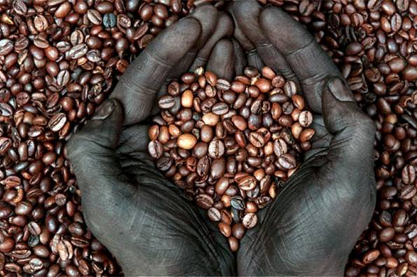 Degustación de café de comercio justo