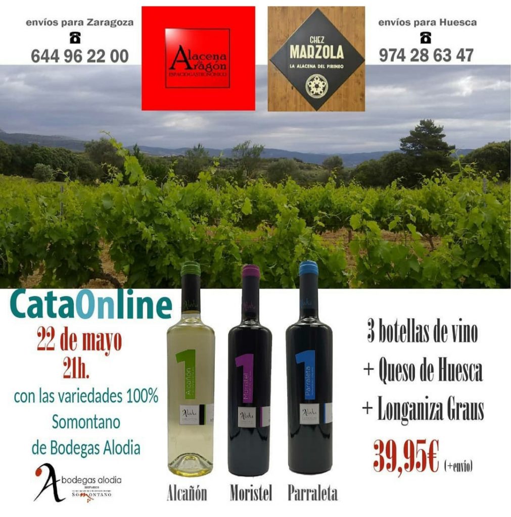 Cata de vino online 