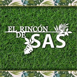 Rincón de Sas