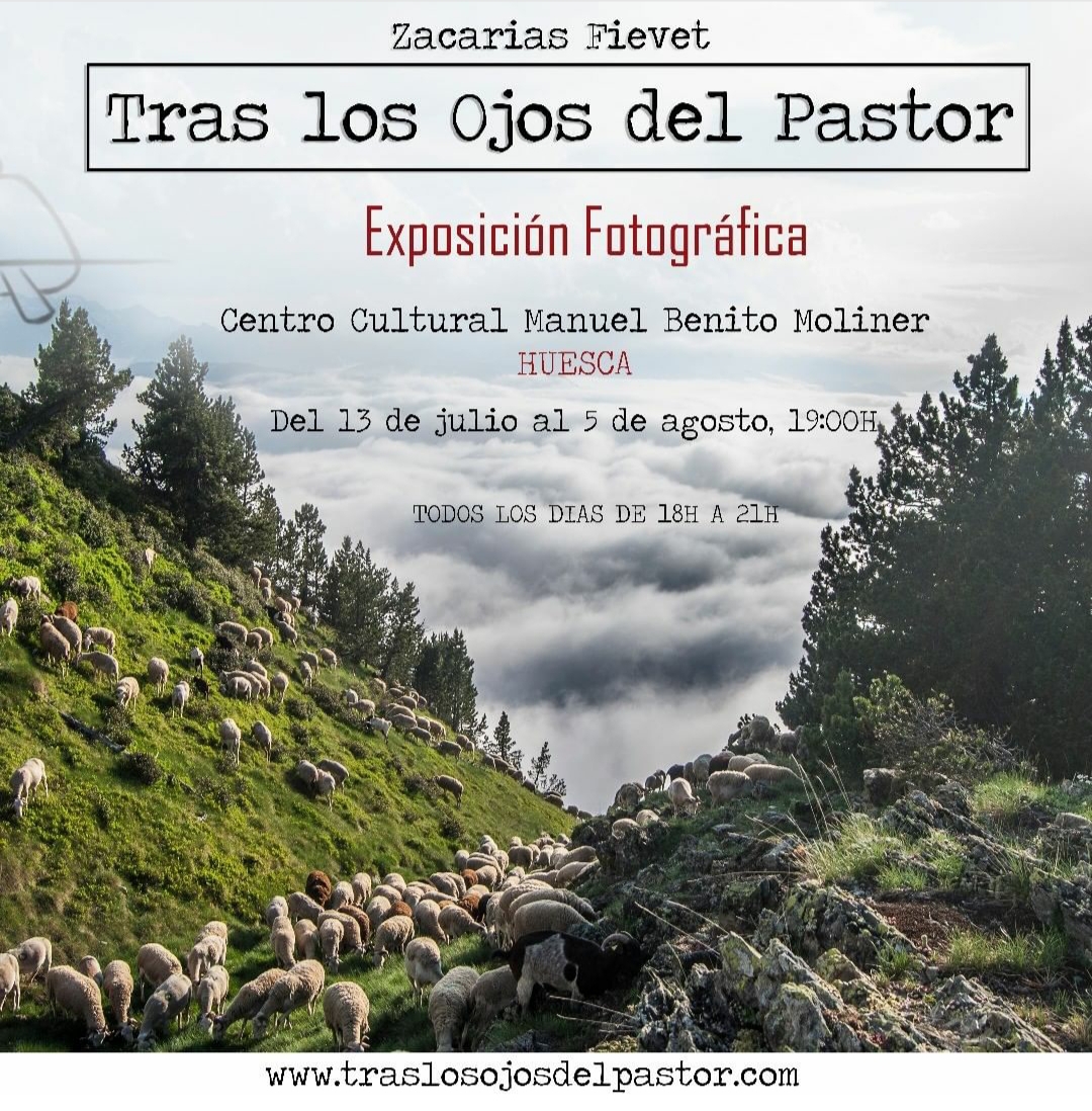 Exposición Tras los ojos del pastor