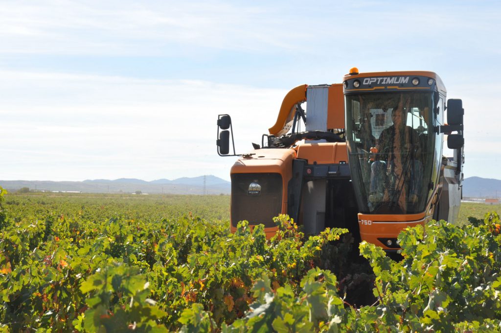 Vendimia mecanica en Cariñena