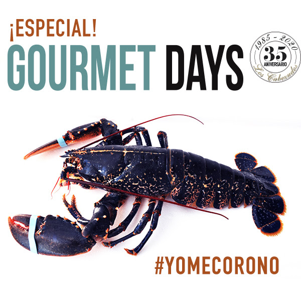 Gourmet Days - Bogavante