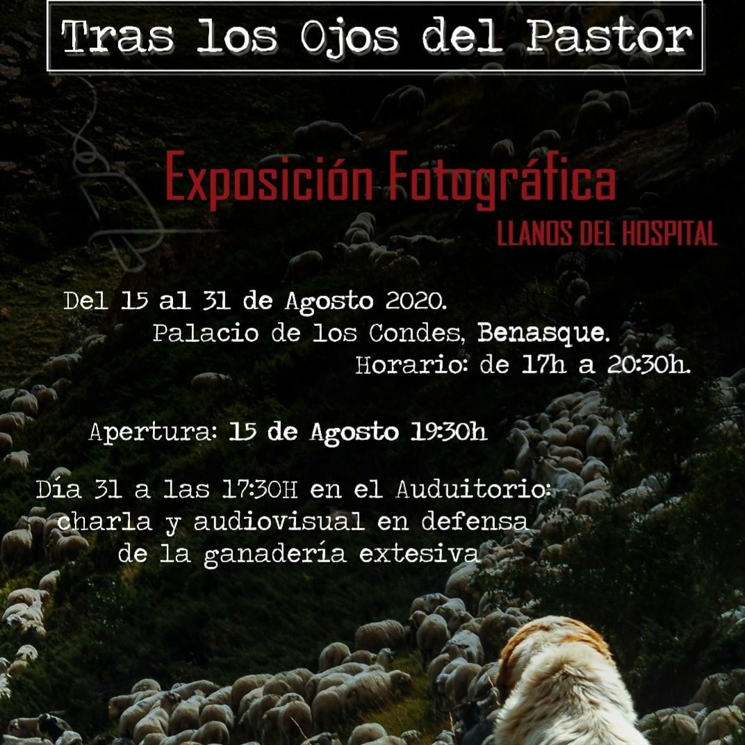 Exposición Tras los ojos del Pastor