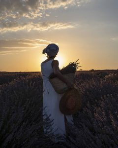 3 º PREMIO LAVANDA