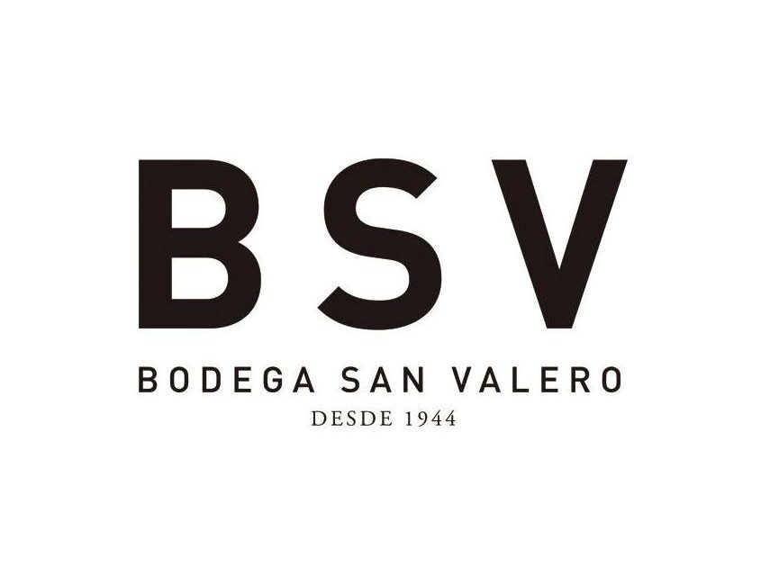 Antonio Serrano, nuevo presidente de Bodegas San Valero