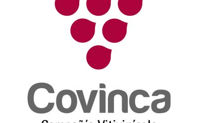 Juan Manuel Gonzalvo, nuevo enólogo de Covinca