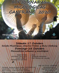 2020 canfranc setas