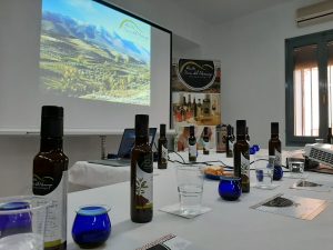 Aceite sierra moncayo bodegon
