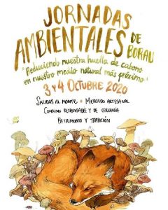 Borau jornadas 2020