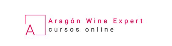 Aragón wine expert