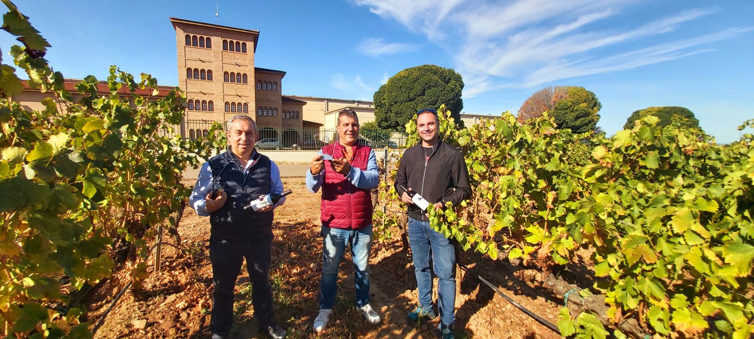Foto de Bodegas Esteban Martin en Villafranca de Ebro, Zaragoza